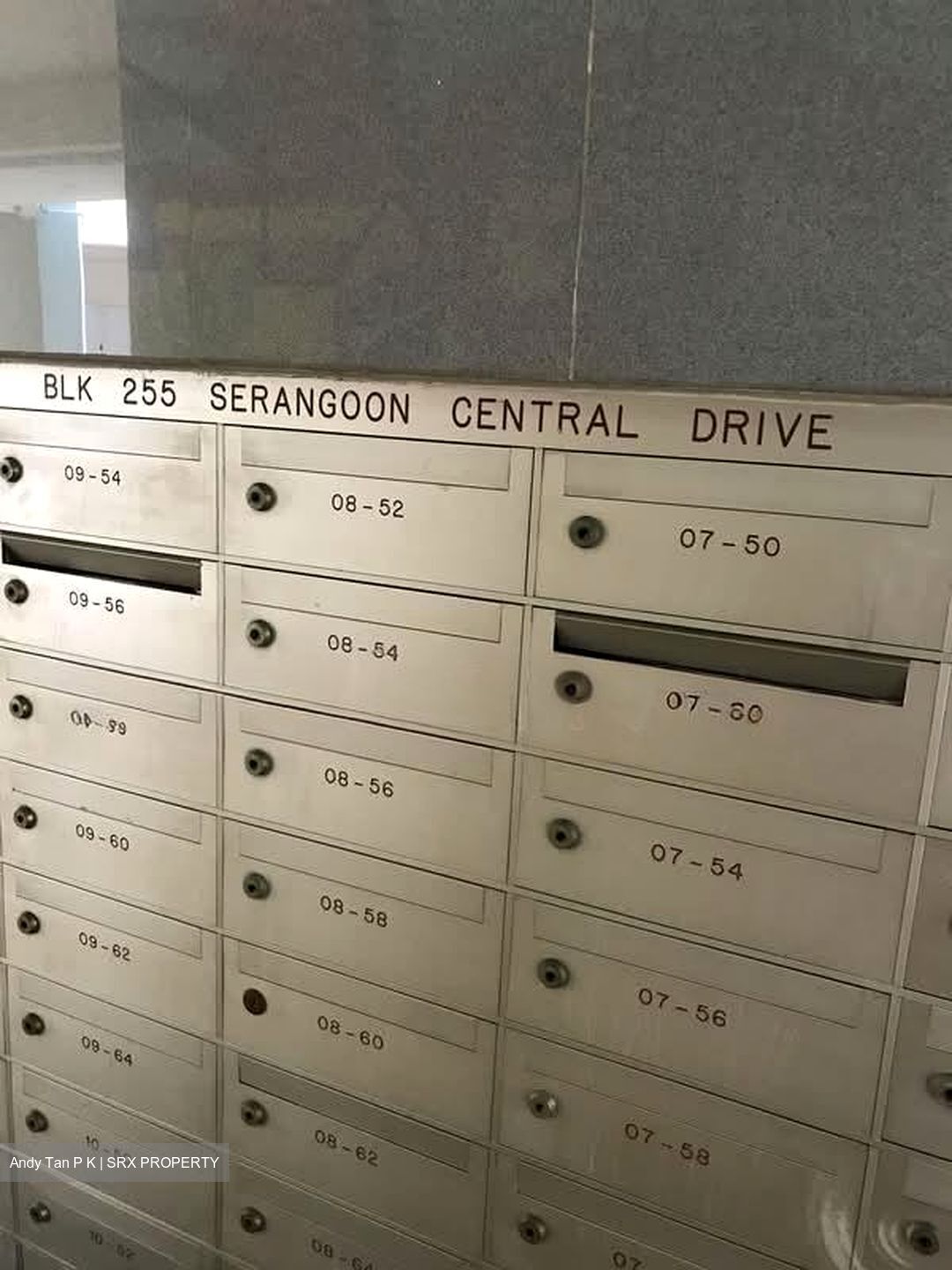 Blk 255 Serangoon Central Drive (Serangoon), HDB 4 Rooms #594553071